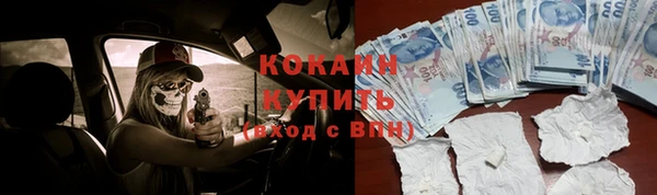 шишки Ханты-Мансийск