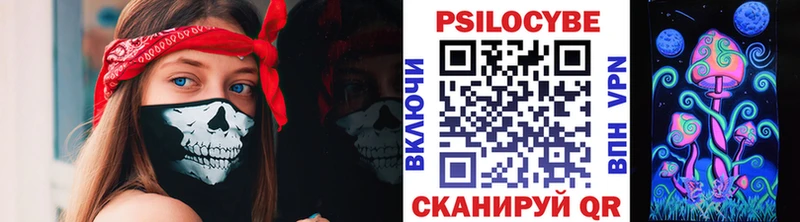 Псилоцибиновые грибы Cubensis сколько стоит гидра ТОР Королёв
